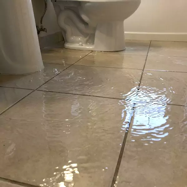 Expert Flooded Bathroom Restoration in Fort Lauderdale, FL 