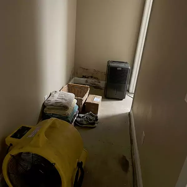 Expert Water Remediation in Fort Lauderdale, FL 