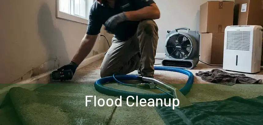  Flood Cleanup 