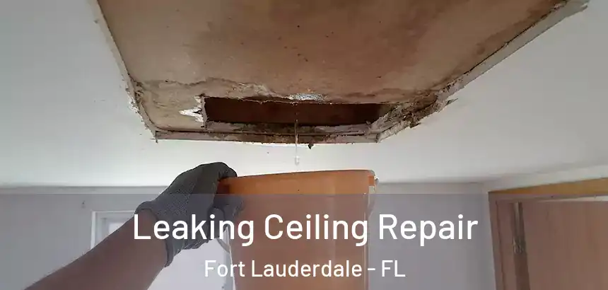  Leaking Ceiling Repair Fort Lauderdale - FL
