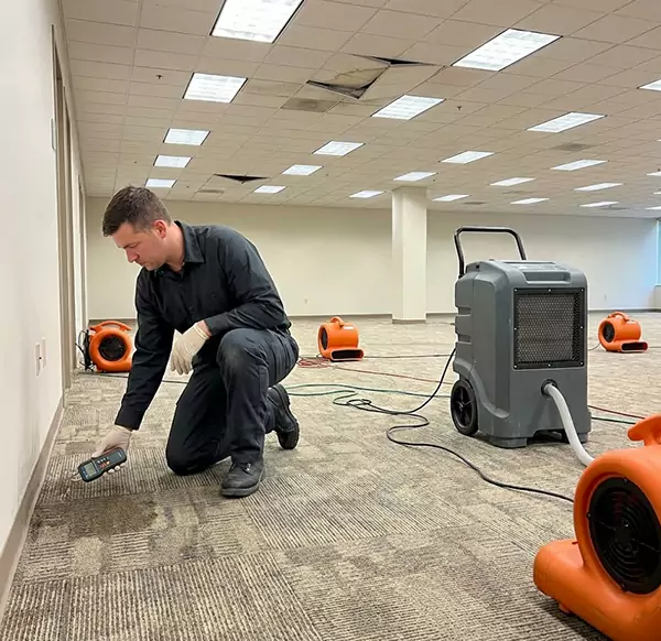 Why Businesses Choose Fort Lauderdale Water Restoration for Commercial Water Damage in Fort Lauderdale, FL?